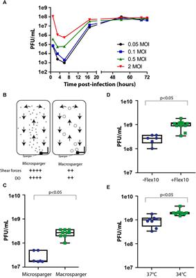 Enhanced production yields of rVSV-SARS-CoV-2 vaccine using Fibra-Cel® macrocarriers